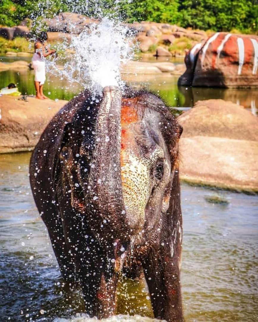 Mamatha Guest Inn Hampi Dış mekan fotoğraf