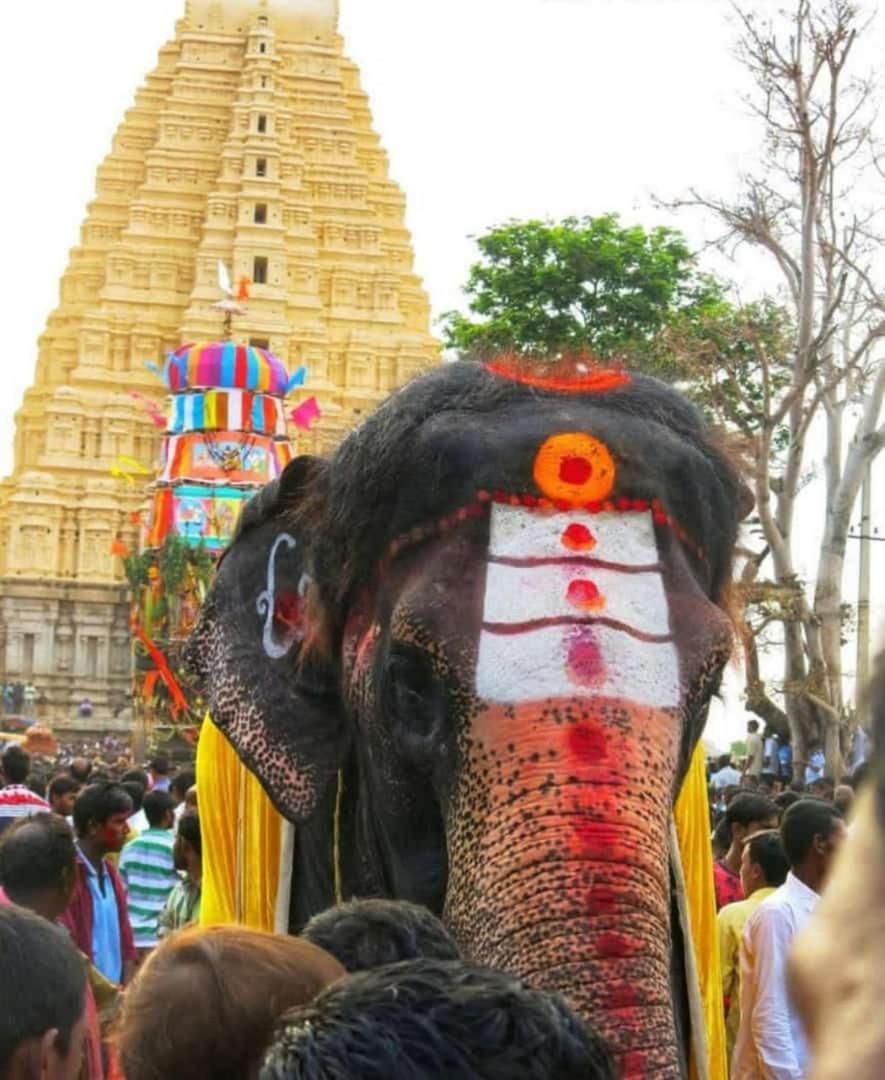 Mamatha Guest Inn Hampi Dış mekan fotoğraf